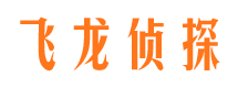 陆河市婚外情调查